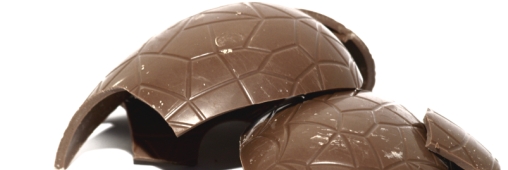 Le chocolat bio, 
