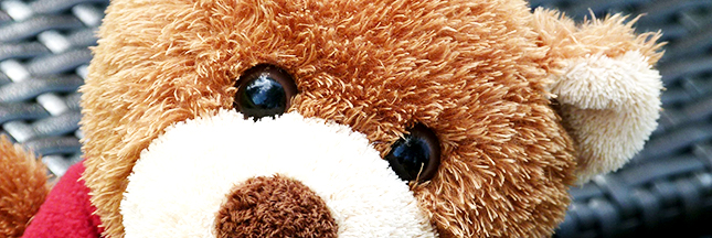 Ventes de peluches en France