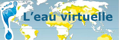 L'eau virtuelle, on en mange plus qu'on en boit !