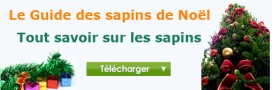 Le guide des sapins de Noël à télécharger