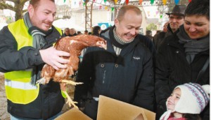 poules-compost-barsac