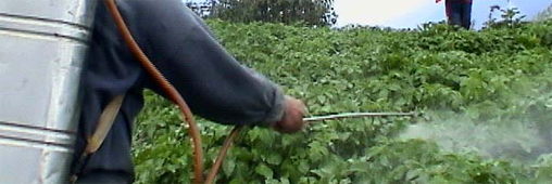 pesticides-pulverisation.jpg