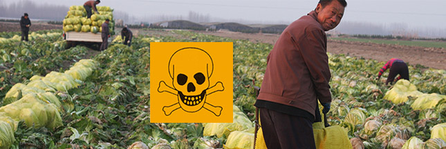 pesticides-chine1.jpg