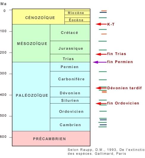 extinctions-especes-histoire.jpg