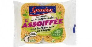 Eponge spontex