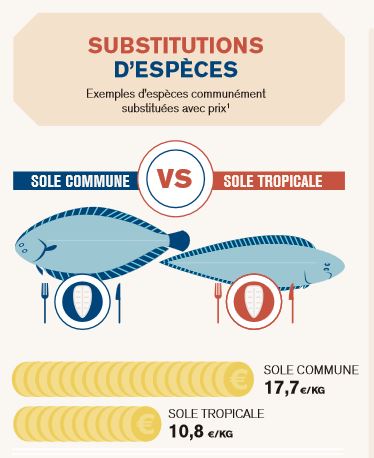 etiquetage-poisson-faude-sole