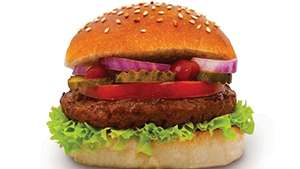 boucher-vegetarien-hamburger-france-01