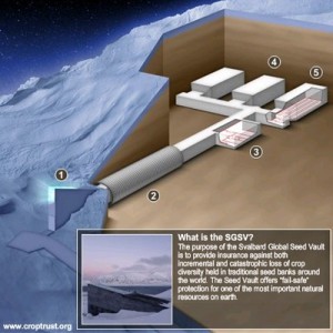 Plan coffre-fort de l'apocalypse