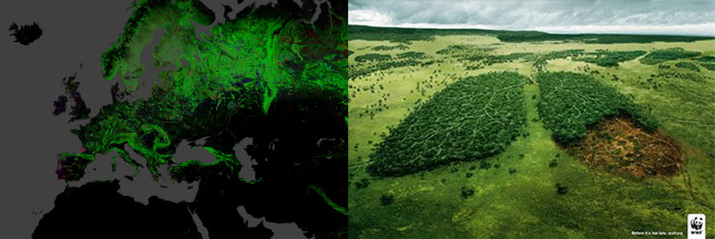 Déforestation dans le monde en 10 données clées