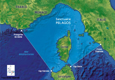 carte-pelagos-sanctuaire_ad.jpg