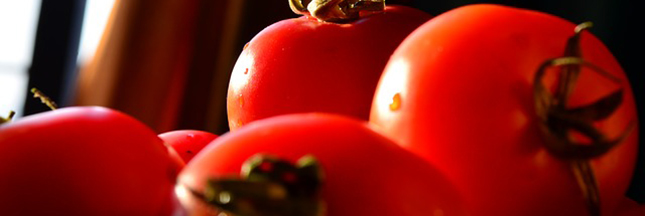 Vegan, végétarien, végétalien... les sans viande et leurs labels