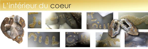 interieur-du-coeur