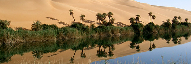 Sable et poussières : le Sahara nourrit l'Amazonie ! 