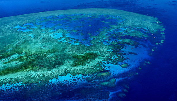 La grande Barrière de corail effondrement des ecosystèmes vue du ciel