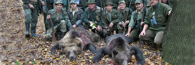 La Roumanie met un terme à la chasse 'sportive' des espèces en danger