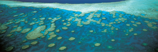 La Grande Barrière de corail en sursis