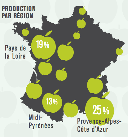 production-pommes-france-région