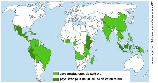 cafe-bio-carte-producteurs