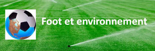 Un match de foot, quel impact écologique ?