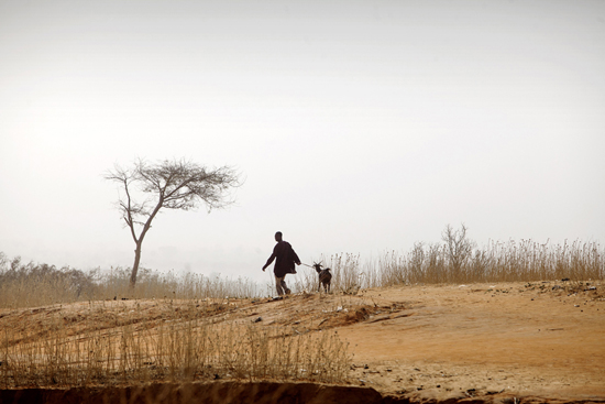Les arbres autour de Kouloumboutey ont disparu suite à la grande famine de 1984-1985 due à la sécheresse. Crédit Photo : FAO