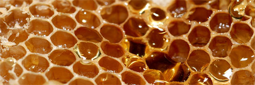 miel micro-plastiques