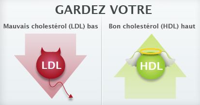 Augmenter bon cholesterol