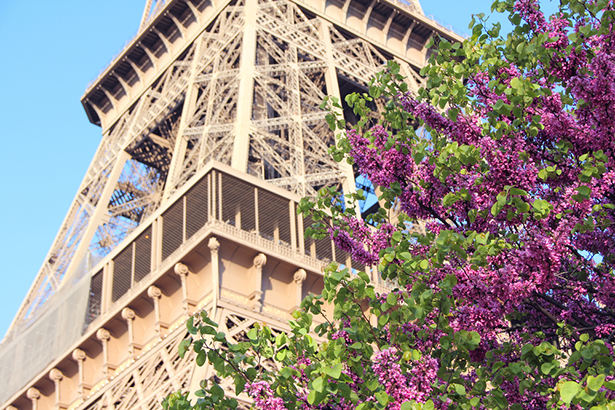 Paris agriculture urbaine